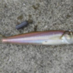 今年最後の淡路島