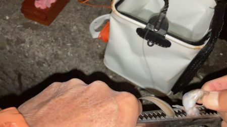 名古屋港でアナゴ釣り