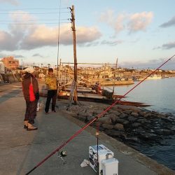 江井ヶ島へ連投