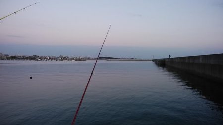東二見で時合いを上手く捉えました