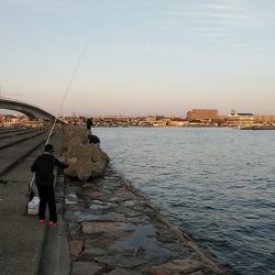 今日も東二見に連投しました