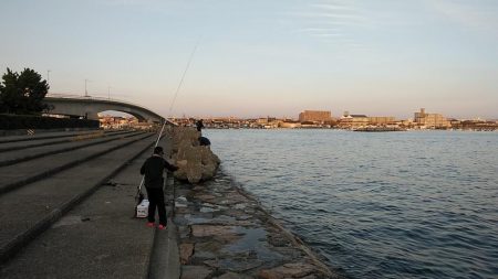 今日も東二見に連投しました