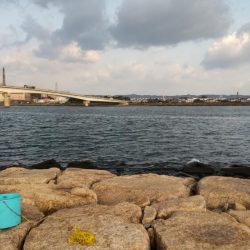 ドラゴンゲット!