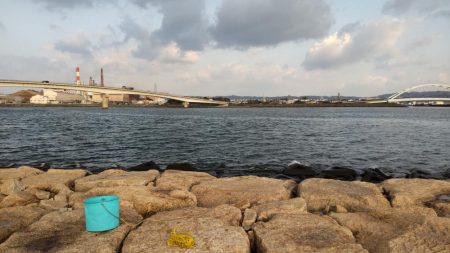 ドラゴンゲット!