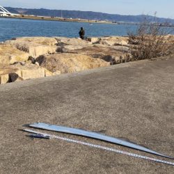 あたり渋い中、、、