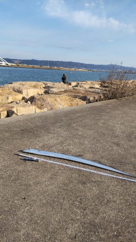 あたり渋い中、、、