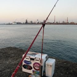 ラスト播磨新島釣行