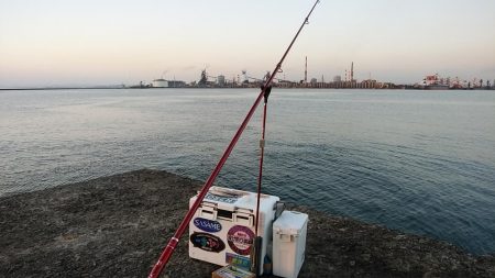 ラスト播磨新島釣行