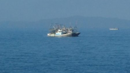 なんとかハマチ