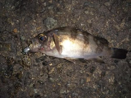 爆風ライトゲーム