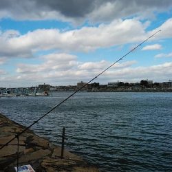 良型キスが釣れました