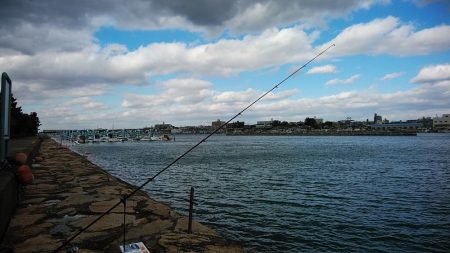 良型キスが釣れました