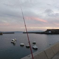 シーズン最大のキスが釣れました