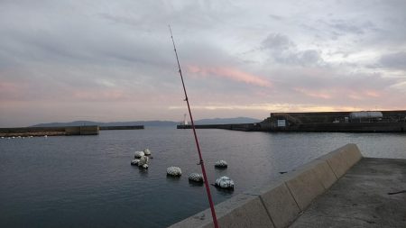 シーズン最大のキスが釣れました
