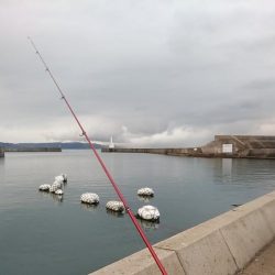 終盤を迎えた江井ヶ島のキス