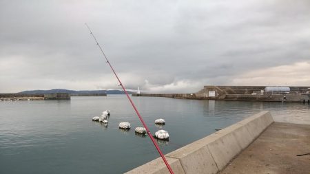 終盤を迎えた江井ヶ島のキス