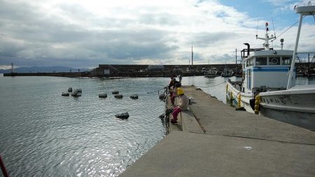 朝の時合いを狙いました