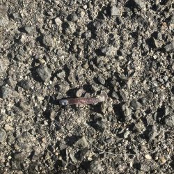 竿納めできます^_^