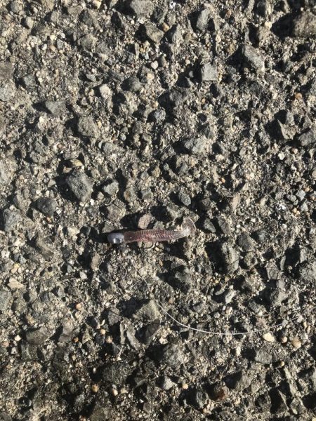 竿納めできます^_^