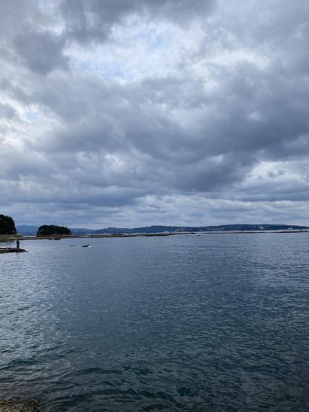 今年最後のエギング