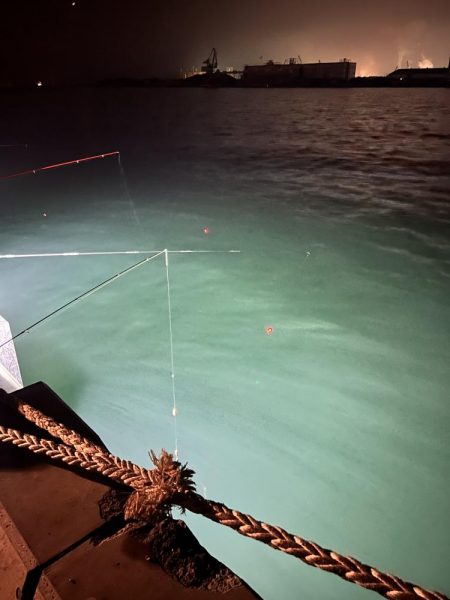 私のヒイカは何処に?