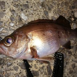 たまにはこんな日も