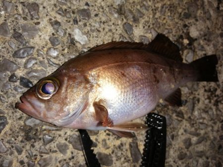 たまにはこんな日も