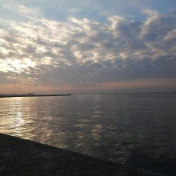 マイワシ湧いてます。タチウオは厳しい～