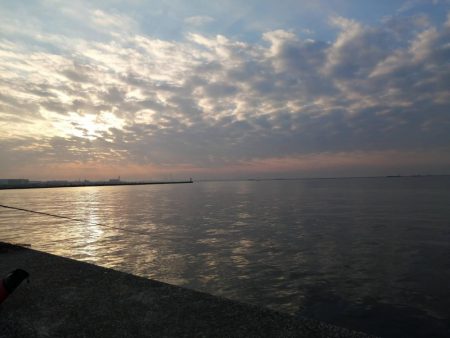 マイワシ湧いてます。タチウオは厳しい～