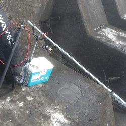 お金で物言わせてきました