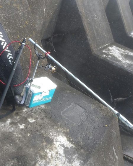 お金で物言わせてきました