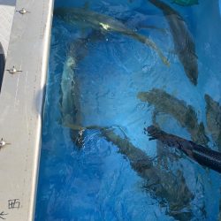 夫婦でジギング@白鶴丸