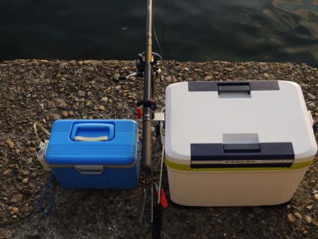 初冬のエビ撒き釣り　最後にハネ