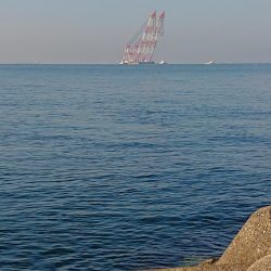 飲ませ釣り終盤戦