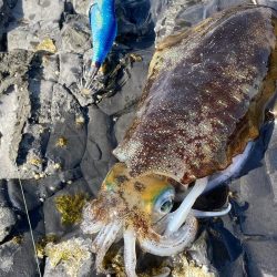 令和三年釣り納め 爆風の中、釣れてよかったー