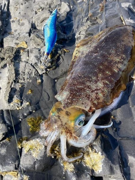 令和三年釣り納め 爆風の中、釣れてよかったー