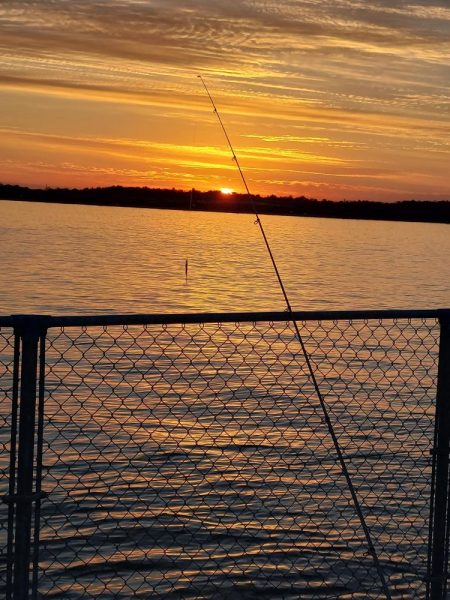 プチファミリーフィッシング　GAME