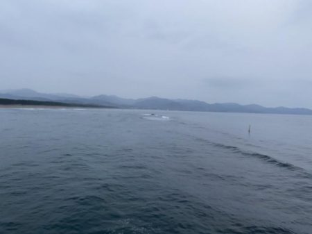 ほぼ入れ食い（笑）投げたら出る！