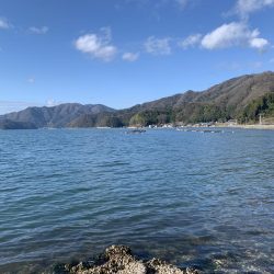 祭りこあと>* ))))><