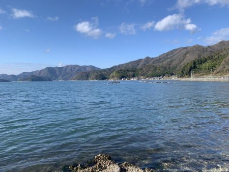 祭りこあと>* ))))><