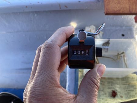 入鹿池でワカサギ釣り