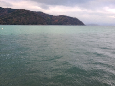 今日はあかんかった