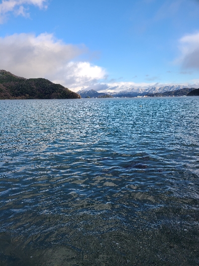 超デカガッシー