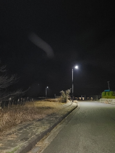 本年最後、釣り納め