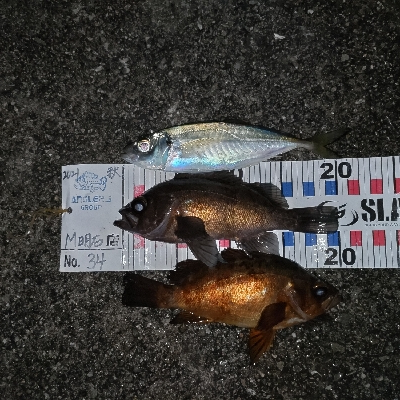 イヴにメバリング