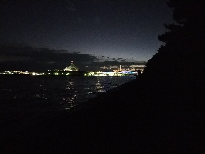 夕マズメ日没直後にシーバス