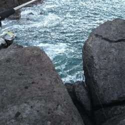 冬晴れの日のサゴシゲーム