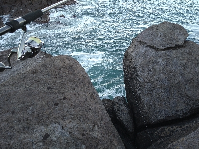 冬晴れの日のサゴシゲーム