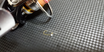 ロックフィッシュゲーム