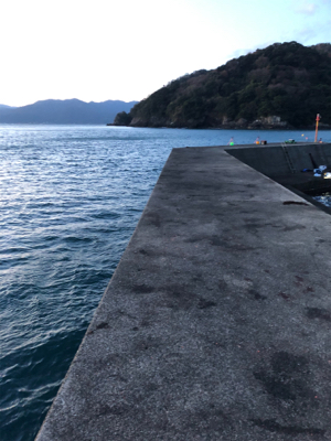 ラストエギング